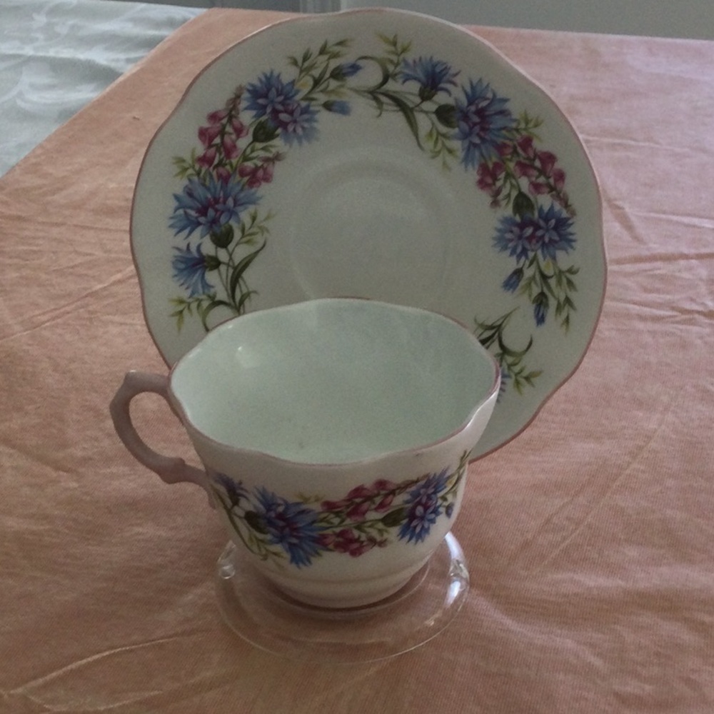 Vintage Rosina cup & saucer made in England marked Wild Flowers color blue& red